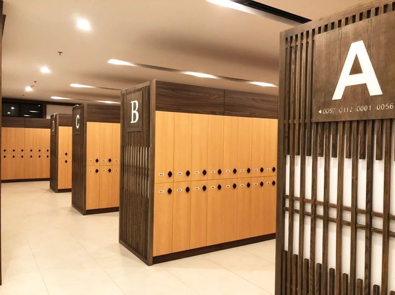 Tủ locker 30 ngăn dùng cho văn phòng, trường học, spa, có gì nổi bật